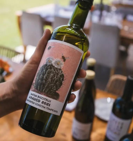 VINO RICCITELLI